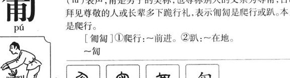 匍匐的读音（匍匐怎么读音）