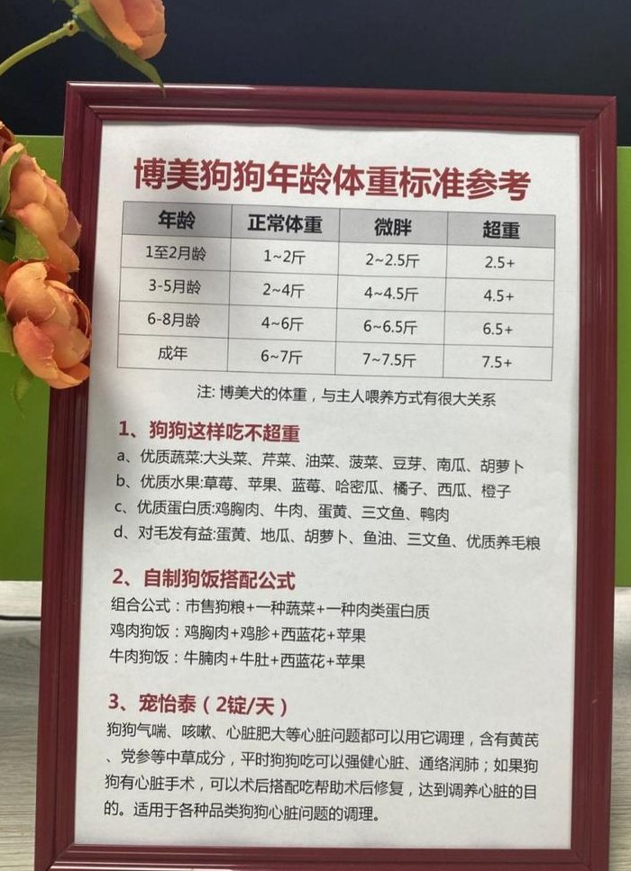 博美标准体型对照表图（博美标体的体重）