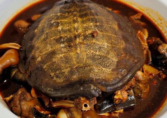 老鳖吃什么食物（老鳖吃什么食物最好）