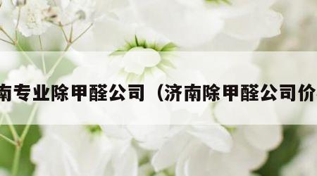 济南专业除甲醛公司（济南除甲醛公司价格）