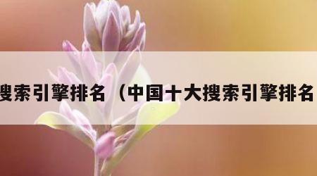 搜索引擎排名（中国十大搜索引擎排名）