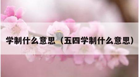 学制什么意思（五四学制什么意思）