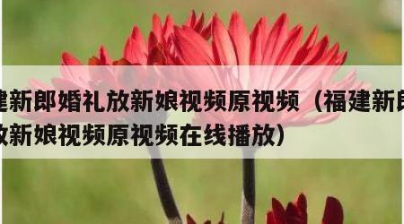 福建新郎婚礼放新娘视频原视频（福建新郎婚礼放新娘视频原视频在线播放）