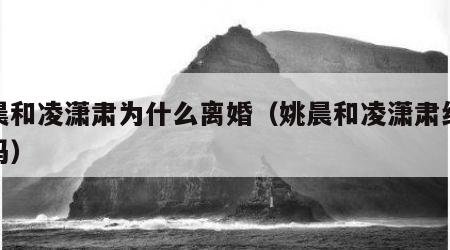 姚晨和凌潇肃为什么离婚（姚晨和凌潇肃结婚了吗）