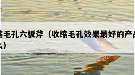 收缩毛孔六板斧（收缩毛孔效果最好的产品是什么）