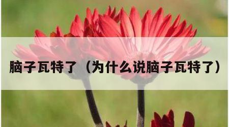 脑子瓦特了（为什么说脑子瓦特了）