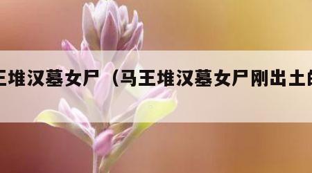马王堆汉墓女尸（马王堆汉墓女尸刚出土的照片）