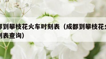 成都到攀枝花火车时刻表（成都到攀枝花火车时刻表查询）