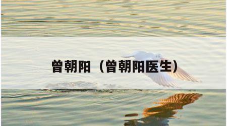 曾朝阳（曾朝阳医生）