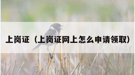 上岗证（上岗证网上怎么申请领取）