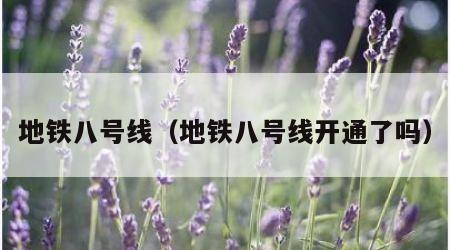 地铁八号线（地铁八号线开通了吗）