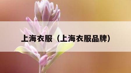 上海衣服（上海衣服品牌）