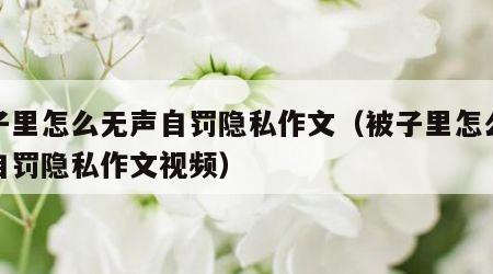 被子里怎么无声自罚隐私作文（被子里怎么无声自罚隐私作文视频）