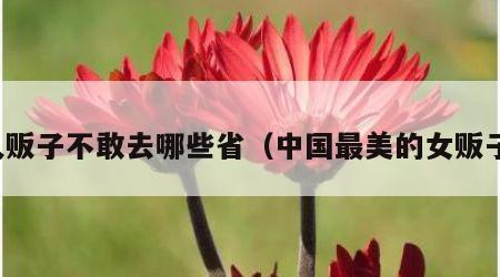 人贩子不敢去哪些省（中国最美的女贩子）