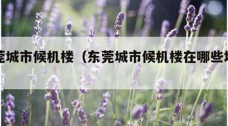 东莞城市候机楼（东莞城市候机楼在哪些地方?）
