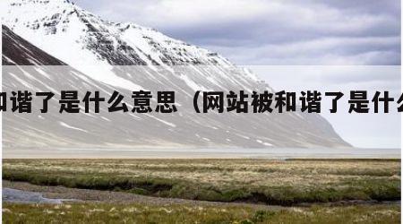 被和谐了是什么意思（网站被和谐了是什么意思）