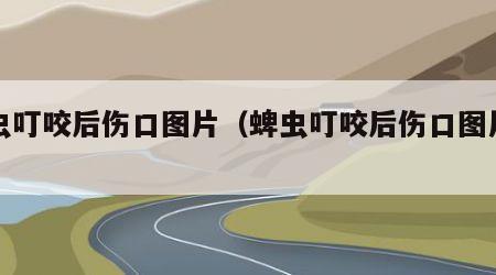 蜱虫叮咬后伤口图片（蜱虫叮咬后伤口图片高清）
