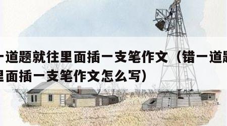 错一道题就往里面插一支笔作文（错一道题就往里面插一支笔作文怎么写）