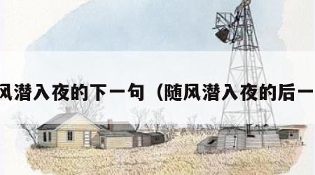 随风潜入夜的下一句（随风潜入夜的后一句）