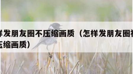怎样发朋友圈不压缩画质（怎样发朋友圈视频不压缩画质）