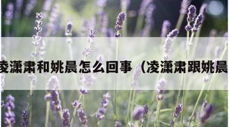 凌潇肃和姚晨怎么回事（凌潇肃跟姚晨）