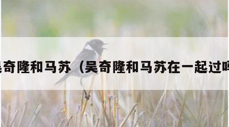 吴奇隆和马苏（吴奇隆和马苏在一起过吗）