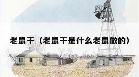 老鼠干（老鼠干是什么老鼠做的）