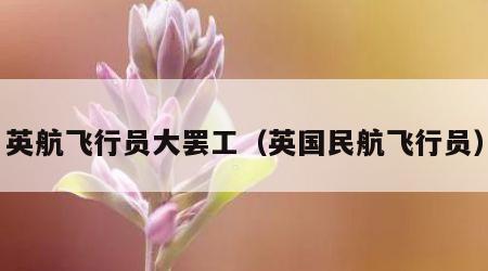 英航飞行员大罢工（英国民航飞行员）