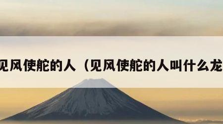 见风使舵的人（见风使舵的人叫什么龙）