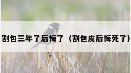 割包三年了后悔了（割包皮后悔死了）