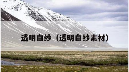 透明白纱（透明白纱素材）