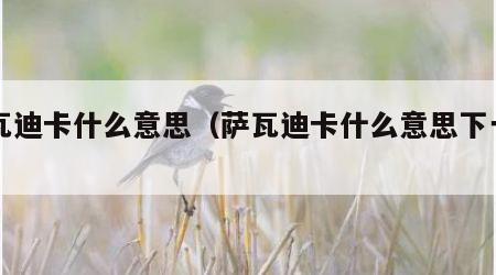 萨瓦迪卡什么意思（萨瓦迪卡什么意思下一句）