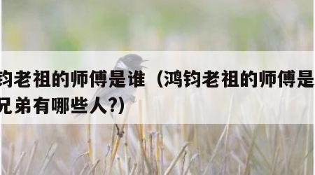 鸿钧老祖的师傅是谁（鸿钧老祖的师傅是谁,师兄弟有哪些人?）