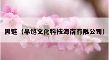 黑链（黑链文化科技海南有限公司）