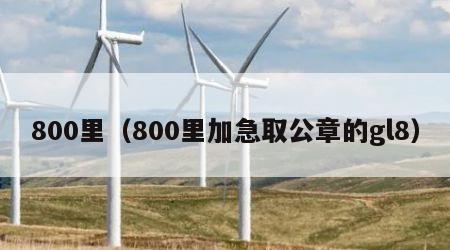 800里（800里加急取公章的gl8）