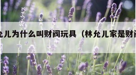 林允儿为什么叫财阀玩具（林允儿家是财阀吗）