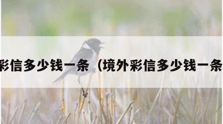 彩信多少钱一条（境外彩信多少钱一条）