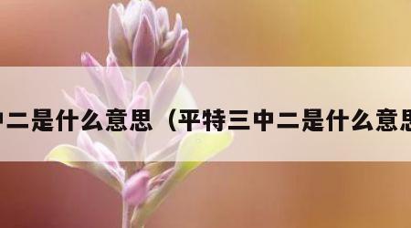 中二是什么意思（平特三中二是什么意思）