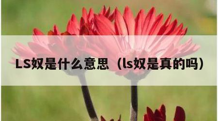 LS奴是什么意思（ls奴是真的吗）