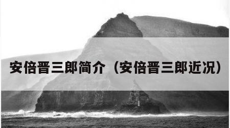 安倍晋三郎简介（安倍晋三郎近况）