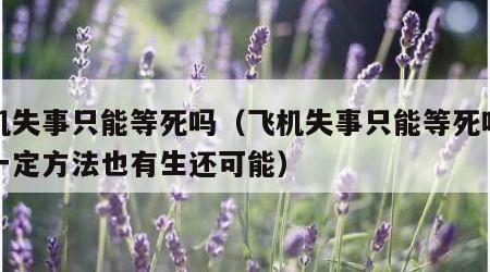 飞机失事只能等死吗（飞机失事只能等死吗掌握一定方法也有生还可能）