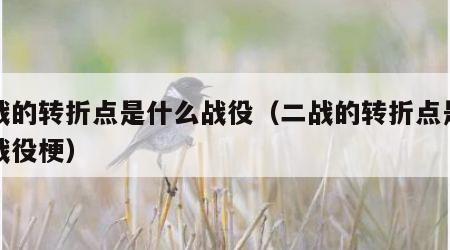 二战的转折点是什么战役（二战的转折点是什么战役梗）