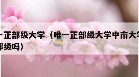 唯一正部级大学（唯一正部级大学中南大学是副部级吗）