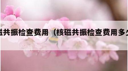 核磁共振检查费用（核磁共振检查费用多少钱）