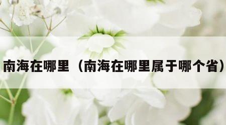 南海在哪里（南海在哪里属于哪个省）