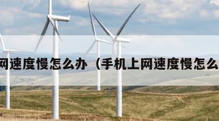 上网速度慢怎么办（手机上网速度慢怎么办）