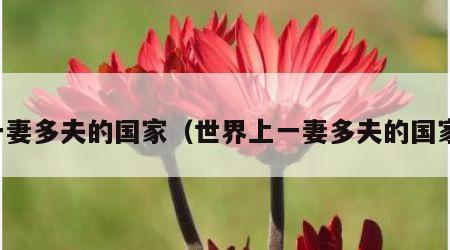 一妻多夫的国家（世界上一妻多夫的国家）