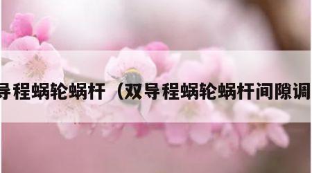 双导程蜗轮蜗杆（双导程蜗轮蜗杆间隙调整）