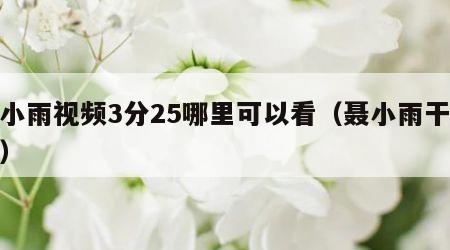 聂小雨视频3分25哪里可以看（聂小雨干啥的）