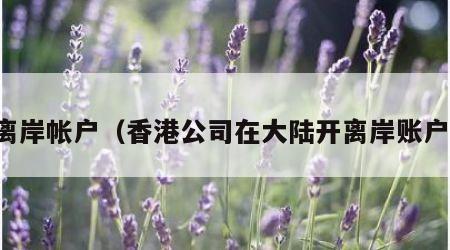 离岸帐户（香港公司在大陆开离岸账户）